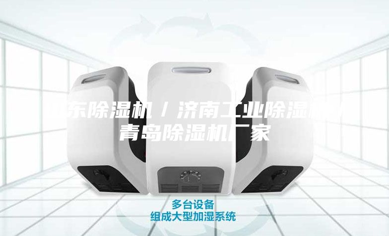 山東除濕機(jī)/濟(jì)南工業(yè)除濕機(jī)/青島除濕機(jī)廠家