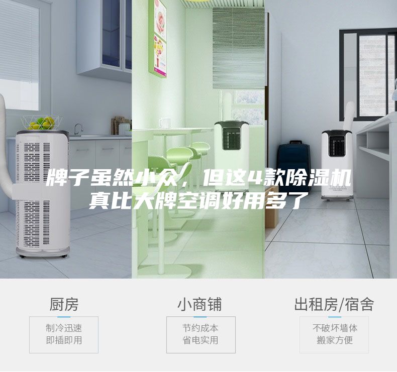 牌子雖然小眾，但這4款除濕機真比大牌空調好用多了