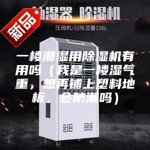 一樓潮濕用除濕機有用嗎（我是一樓濕氣重，想再鋪上塑料地板，會防潮嗎）