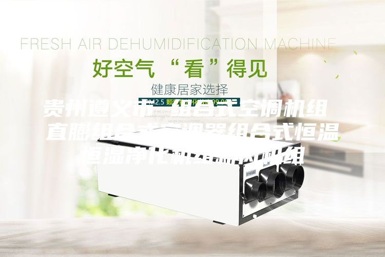 貴州遵義市 組合式空調(diào)機(jī)組 直膨組合式空調(diào)器組合式恒溫恒濕凈化機(jī)組新風(fēng)機(jī)組