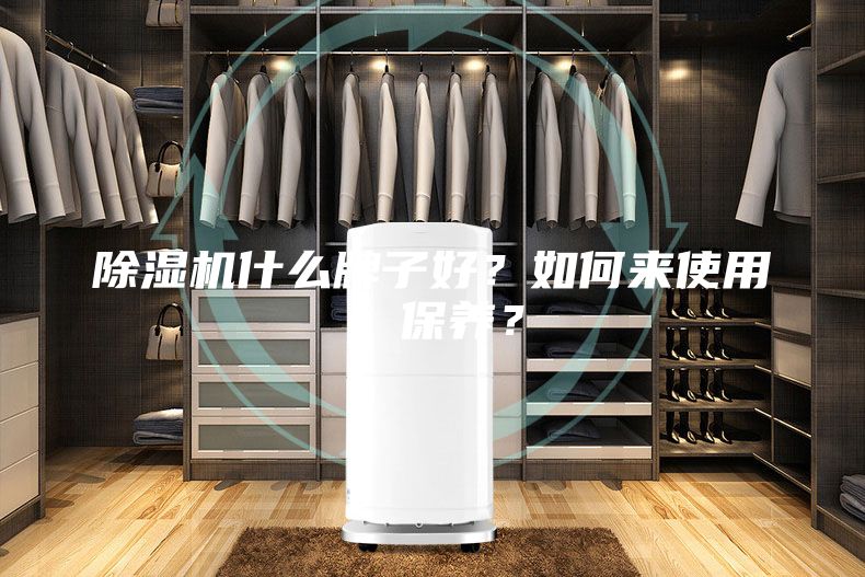 除濕機什么牌子好？如何來使用、保養(yǎng)？