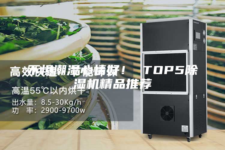 不懼潮濕心情好！ TOP5除濕機精品推薦