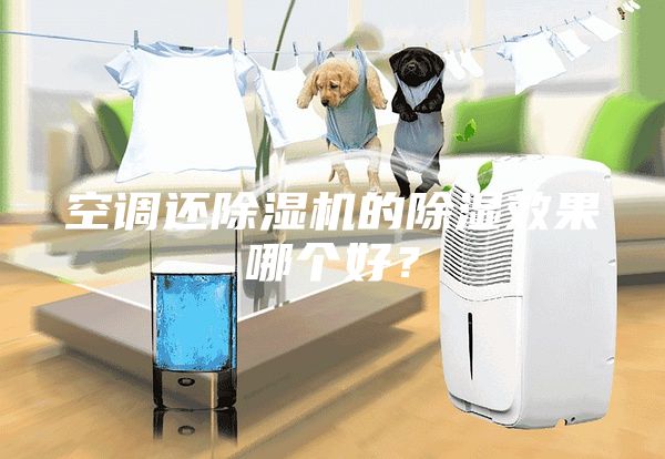 空調還除濕機的除濕效果哪個好？