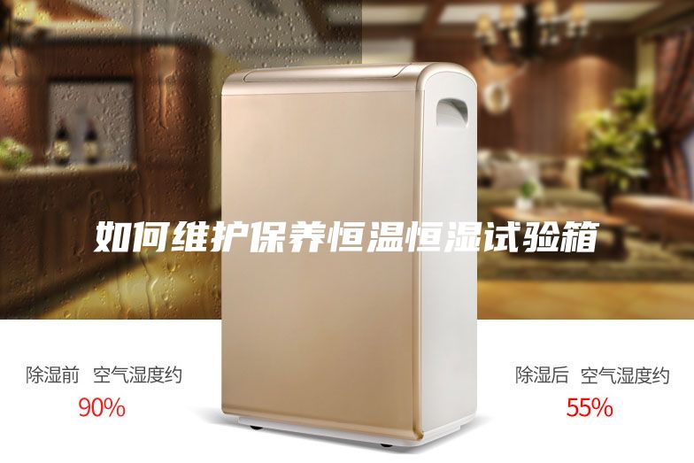 如何維護保養(yǎng)恒溫恒濕試驗箱