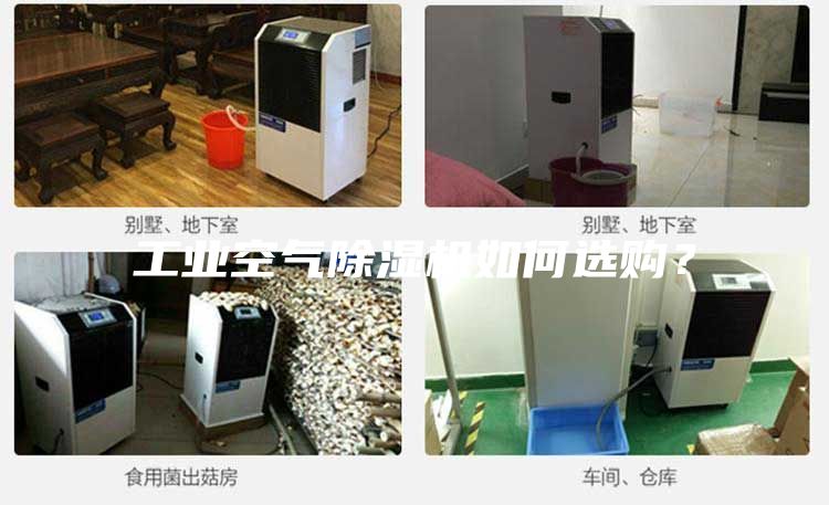 工業空氣除濕機如何選購？
