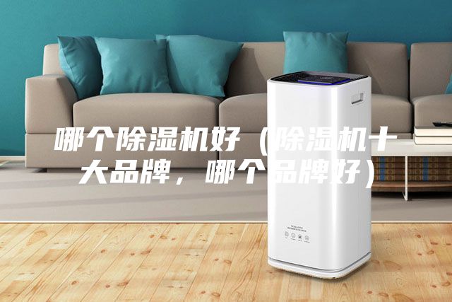 哪個除濕機好（除濕機十大品牌，哪個品牌好）