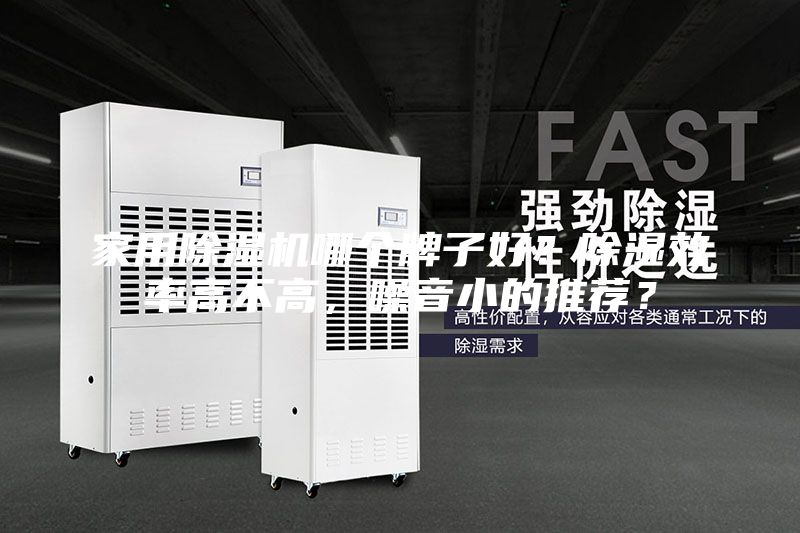 家用除濕機哪個牌子好？除濕效率高不高，噪音小的推薦？