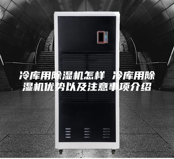 冷庫用除濕機怎樣 冷庫用除濕機優(yōu)勢以及注意事項介紹
