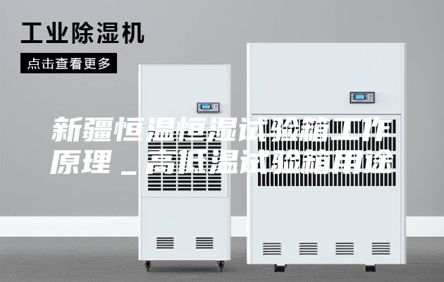 新疆恒溫恒濕試驗箱工作原理_高低溫試驗箱用途