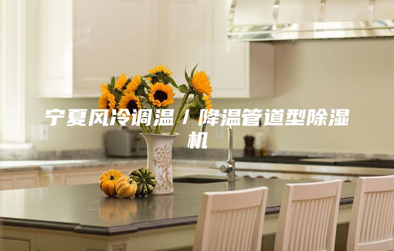 寧夏風(fēng)冷調(diào)溫／降溫管道型除濕機(jī)