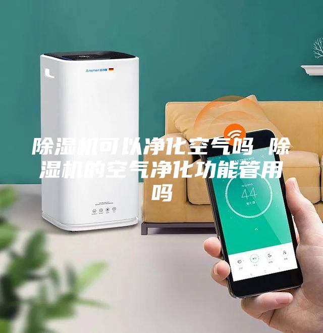 除濕機(jī)可以?xún)艋諝鈫?除濕機(jī)的空氣凈化功能管用嗎
