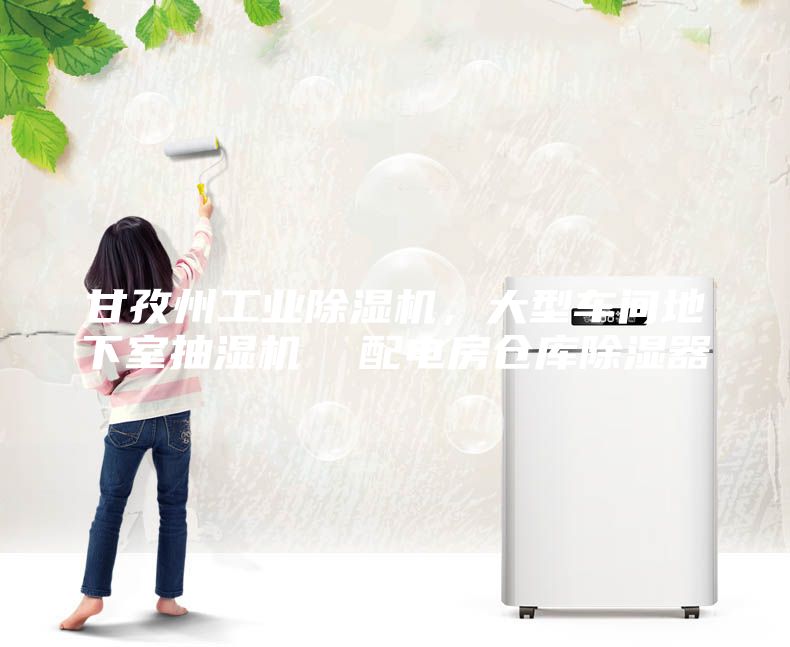 甘孜州工業除濕機，大型車間地下室抽濕機  配電房倉庫除濕器