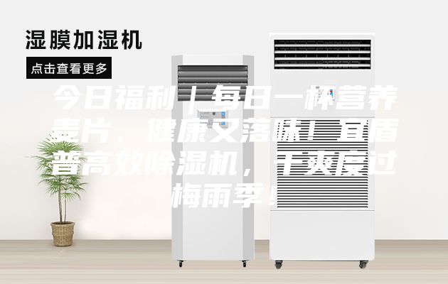 今日福利｜每日一杯營養麥片，健康又落味！宜盾普高效除濕機，干爽度過梅雨季！