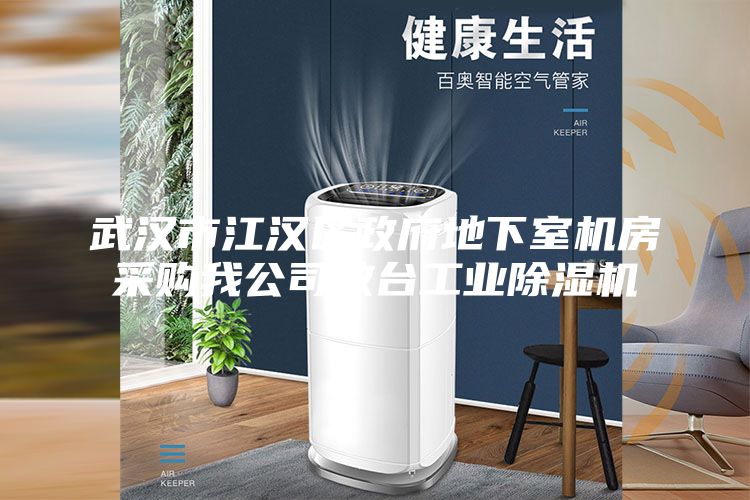 武漢市江漢區(qū)政府地下室機(jī)房采購我公司數(shù)臺(tái)工業(yè)除濕機(jī)
