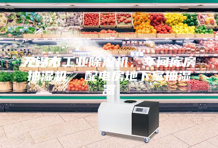 無(wú)錫市工業(yè)除濕機(jī)，車(chē)間庫(kù)房抽濕機(jī)  配電房地下室抽濕器