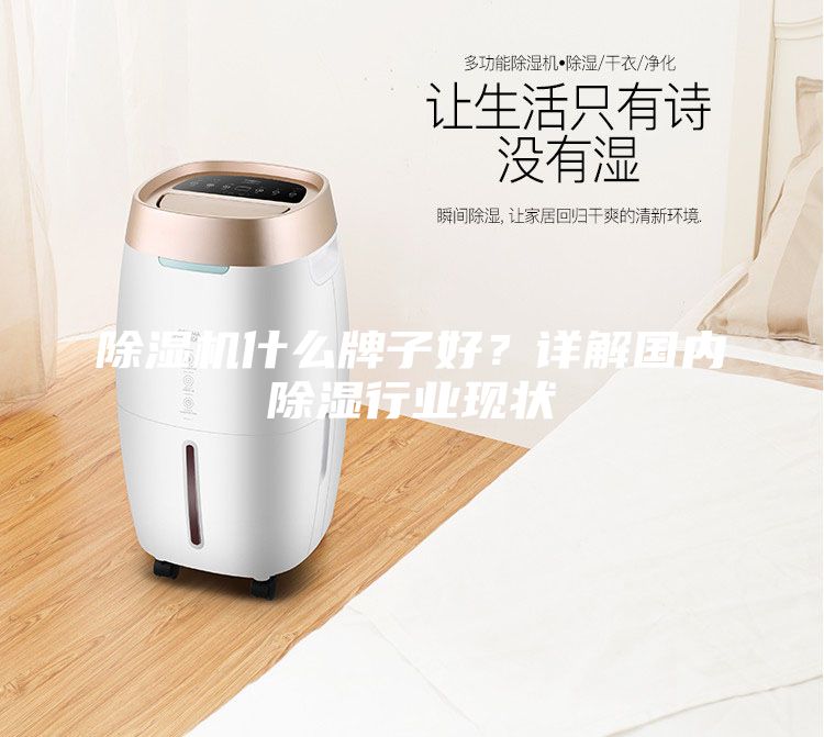 除濕機(jī)什么牌子好？詳解國(guó)內(nèi)除濕行業(yè)現(xiàn)狀