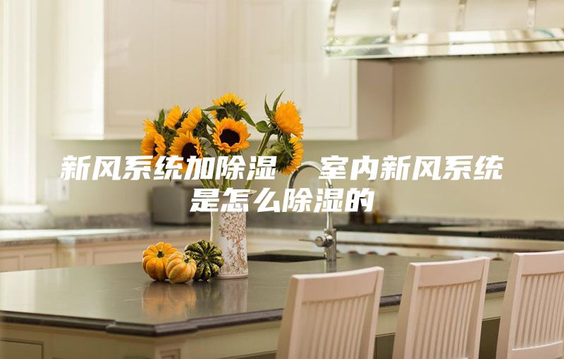 新風(fēng)系統(tǒng)加除濕  室內(nèi)新風(fēng)系統(tǒng)是怎么除濕的