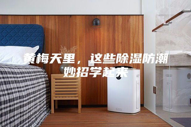 黃梅天里，這些除濕防潮妙招學(xué)起來