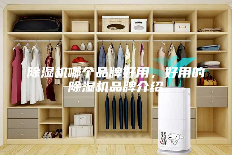 除濕機哪個品牌好用，好用的除濕機品牌介紹