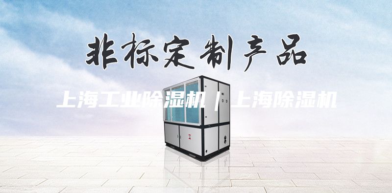 上海工業除濕機|上海除濕機