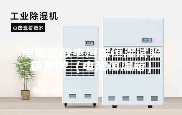 電池充放電恒溫恒濕試驗(yàn)箱品牌（電池恒溫箱）