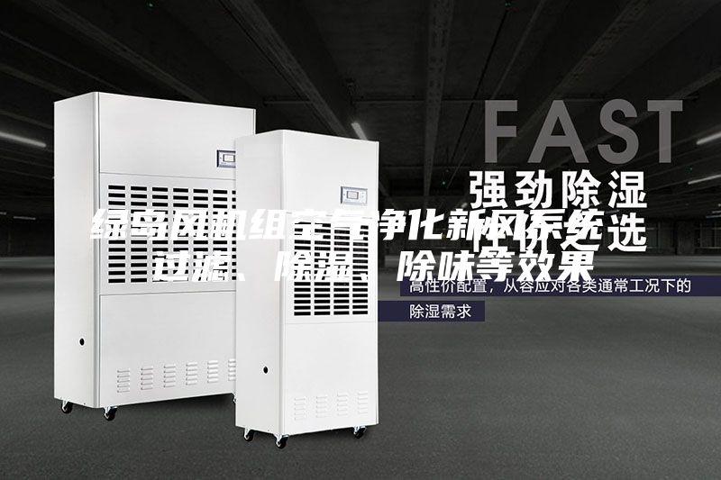 綠島風(fēng)機(jī)組空氣凈化新風(fēng)系統(tǒng)  過(guò)濾、除濕、除味等效果
