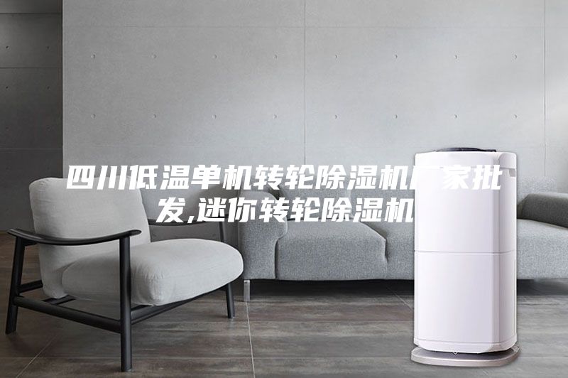 四川低溫單機轉輪除濕機廠家批發,迷你轉輪除濕機