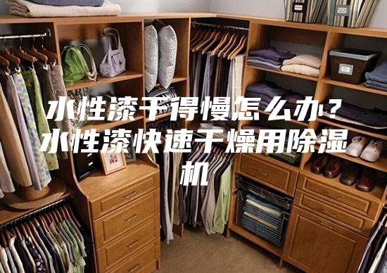 水性漆干得慢怎么辦？水性漆快速干燥用除濕機(jī)