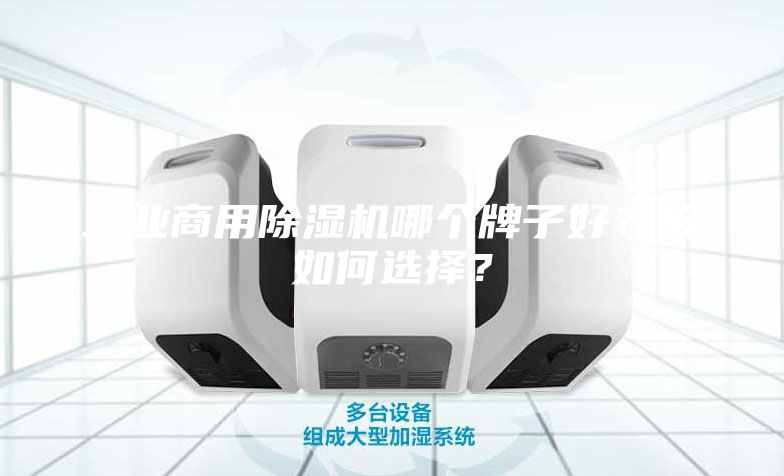 工業商用除濕機哪個牌子好?該如何選擇?