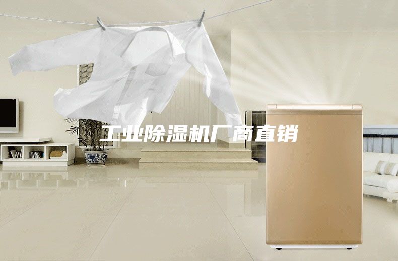 工業(yè)除濕機(jī)廠商直銷