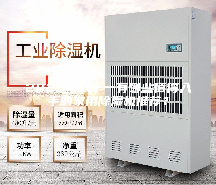 2023年雙十一有哪些值得入手的家用除濕機推薦？