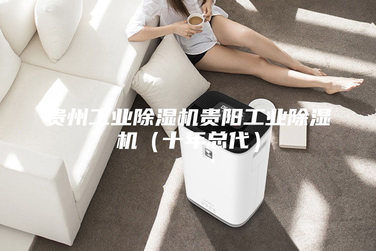貴州工業除濕機貴陽工業除濕機(十年總代)