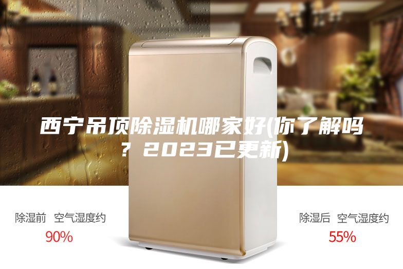 西寧吊頂除濕機哪家好(你了解嗎？2023已更新)