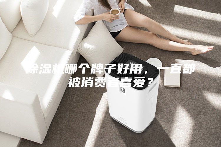 除濕機哪個牌子好用，一直都被消費者喜愛？