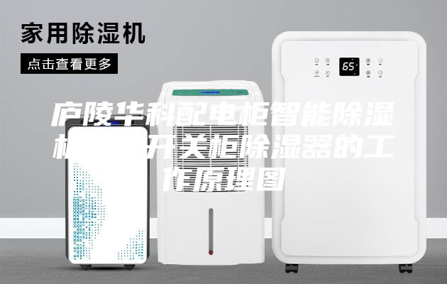 廬陵華科配電柜智能除濕機(jī)裝置開關(guān)柜除濕器的工作原理圖