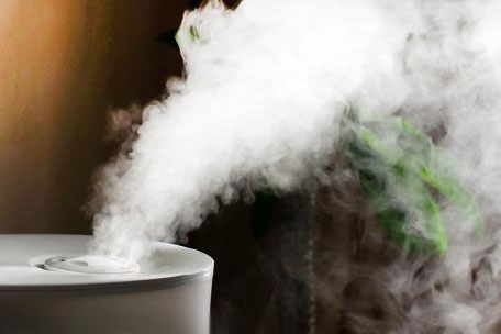 對抗梅雨季節潮濕，家用除濕機為您解決煩惱！