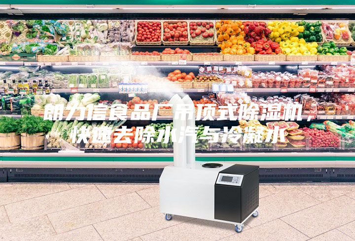 朗力信食品廠吊頂式除濕機,快速去除水汽與冷凝水