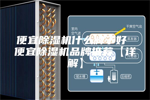 便宜除濕機什么牌子好 便宜除濕機品牌推薦【詳解】
