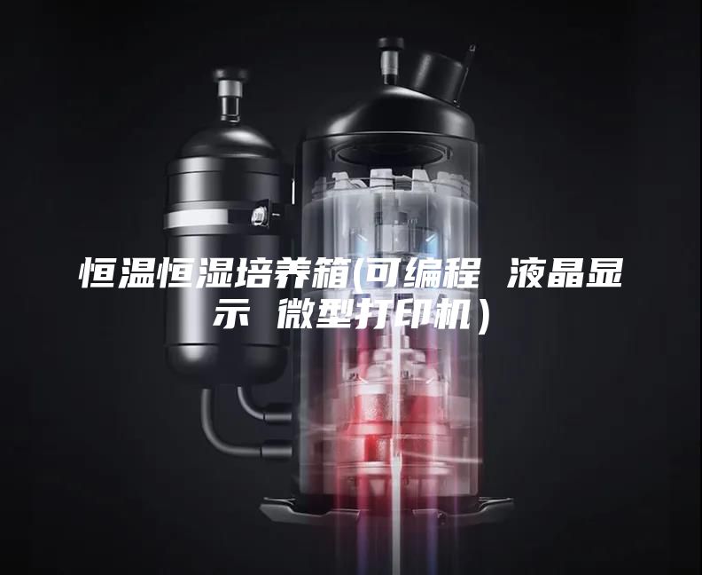 恒溫恒濕培養(yǎng)箱(可編程 液晶顯示 微型打印機(jī))