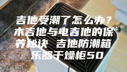 吉他受潮了怎么辦?木吉他與電吉他的保養秘訣 吉他防潮箱 樂器干燥柜50