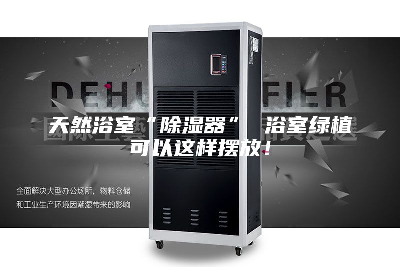 天然浴室“除濕器” 浴室綠植可以這樣擺放!