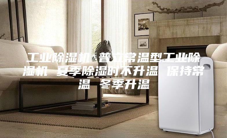 工業除濕機 普立常溫型工業除濕機 夏季除濕時不升溫 保持常溫 冬季升溫