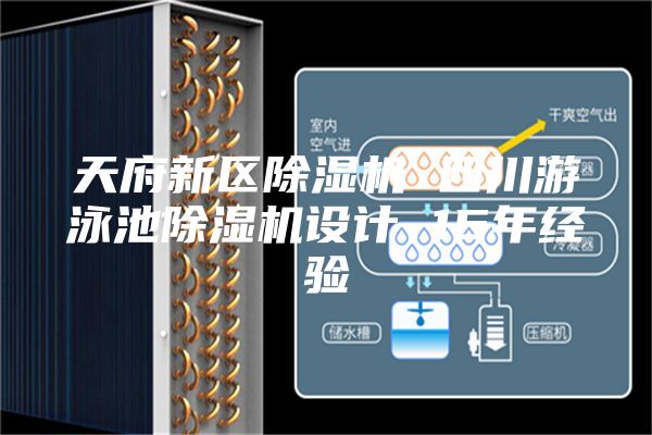 天府新區除濕機 四川游泳池除濕機設計 15年經驗