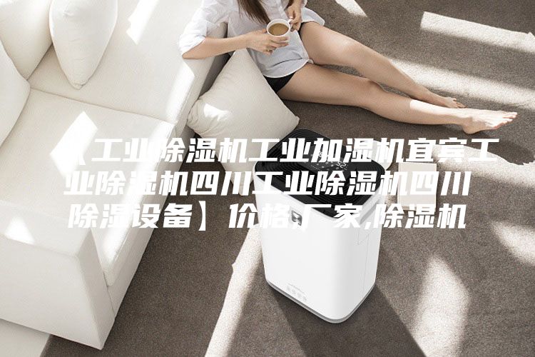【工業(yè)除濕機工業(yè)加濕機宜賓工業(yè)除濕機四川工業(yè)除濕機四川除濕設(shè)備】價格,廠家,除濕機
