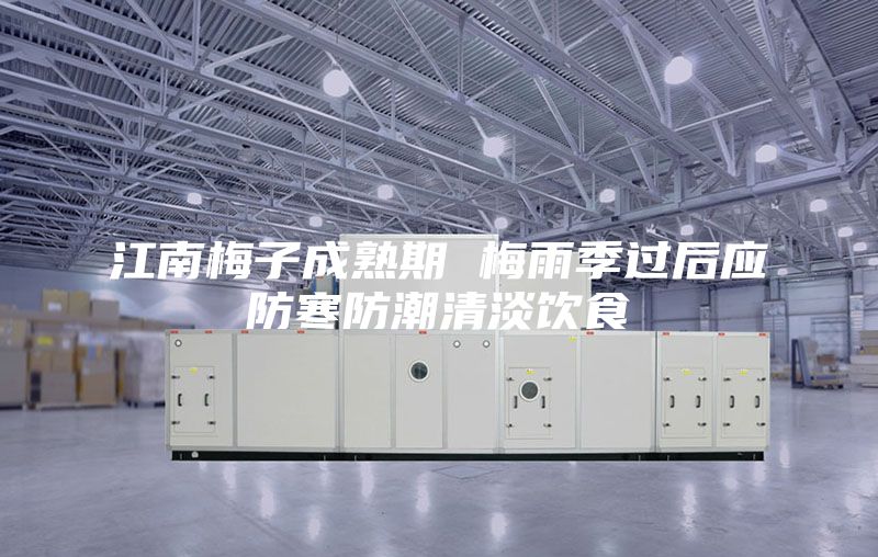 江南梅子成熟期 梅雨季過后應防寒防潮清淡飲食