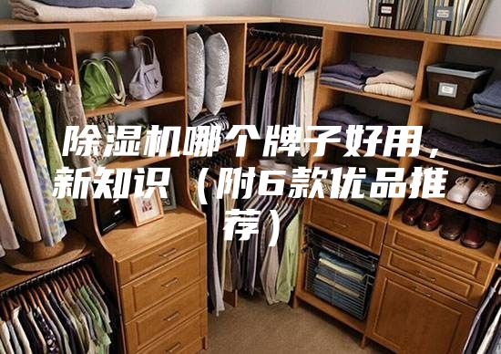 除濕機(jī)哪個(gè)牌子好用，新知識(shí)（附6款優(yōu)品推薦）