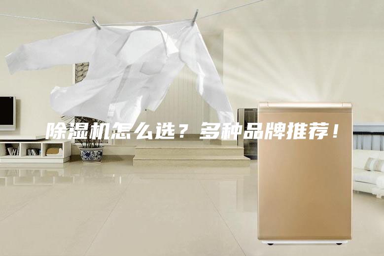 除濕機(jī)怎么選？多種品牌推薦！