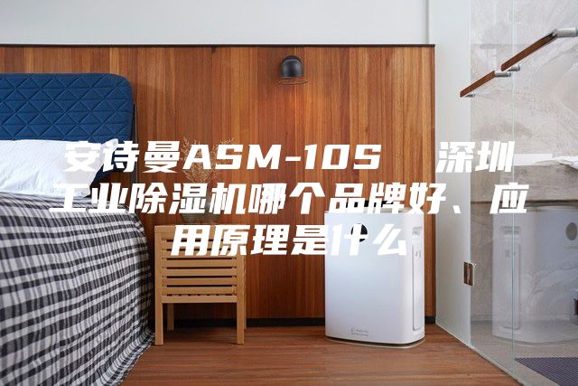 安詩曼ASM-10S  深圳工業除濕機哪個品牌好、應用原理是什么