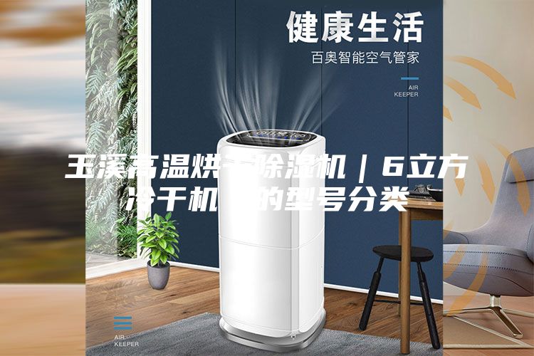玉溪高溫烘干除濕機｜6立方冷干機｜的型號分類