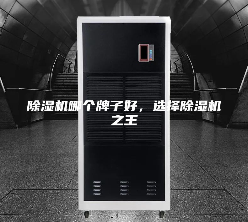 除濕機哪個牌子好，選擇除濕機之王